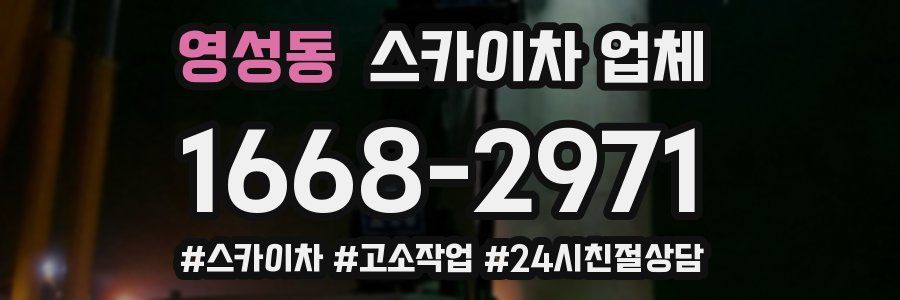영성동 스카이차 업체