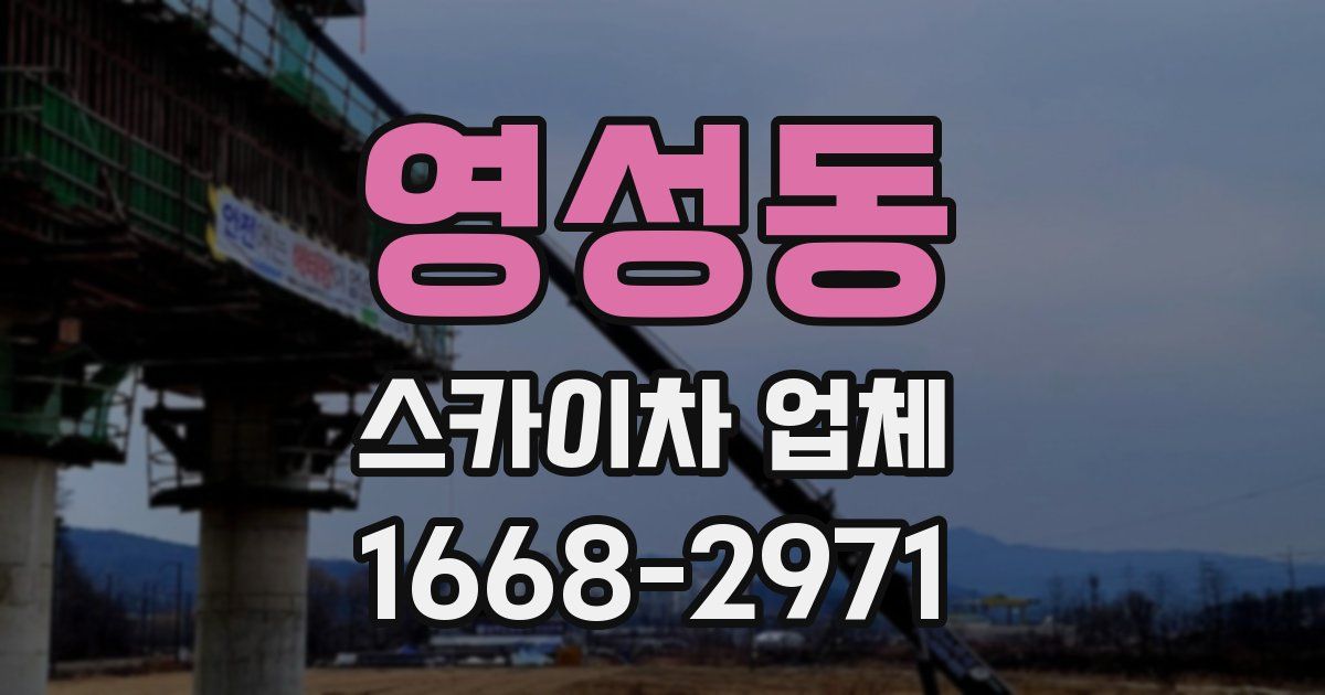 영성동 스카이차 업체