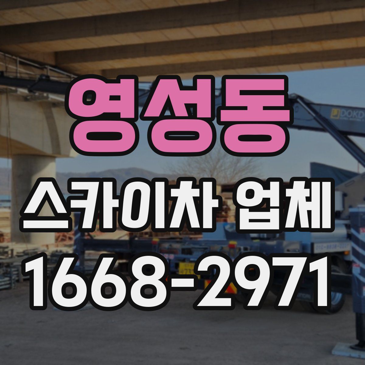 영성동 스카이차 업체