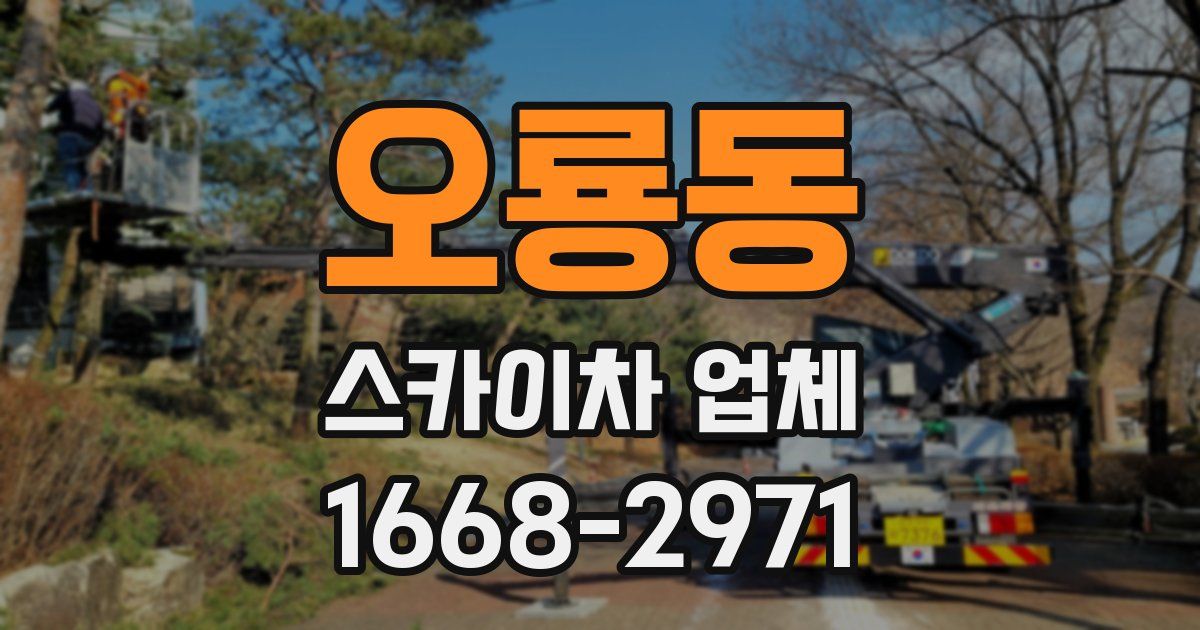 오룡동 스카이차 업체