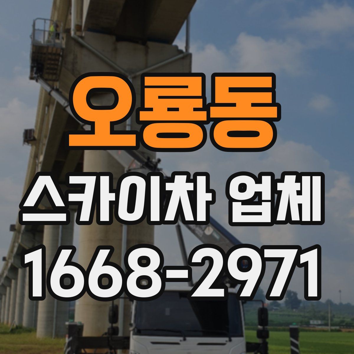 오룡동 스카이차 업체