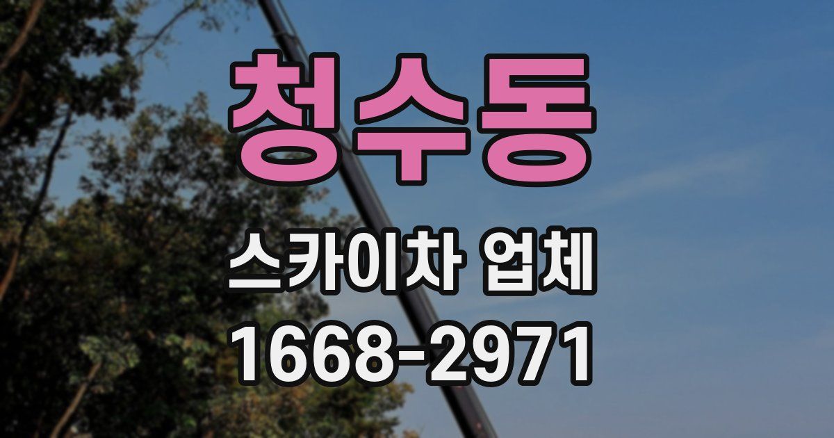 청수동 스카이차 업체