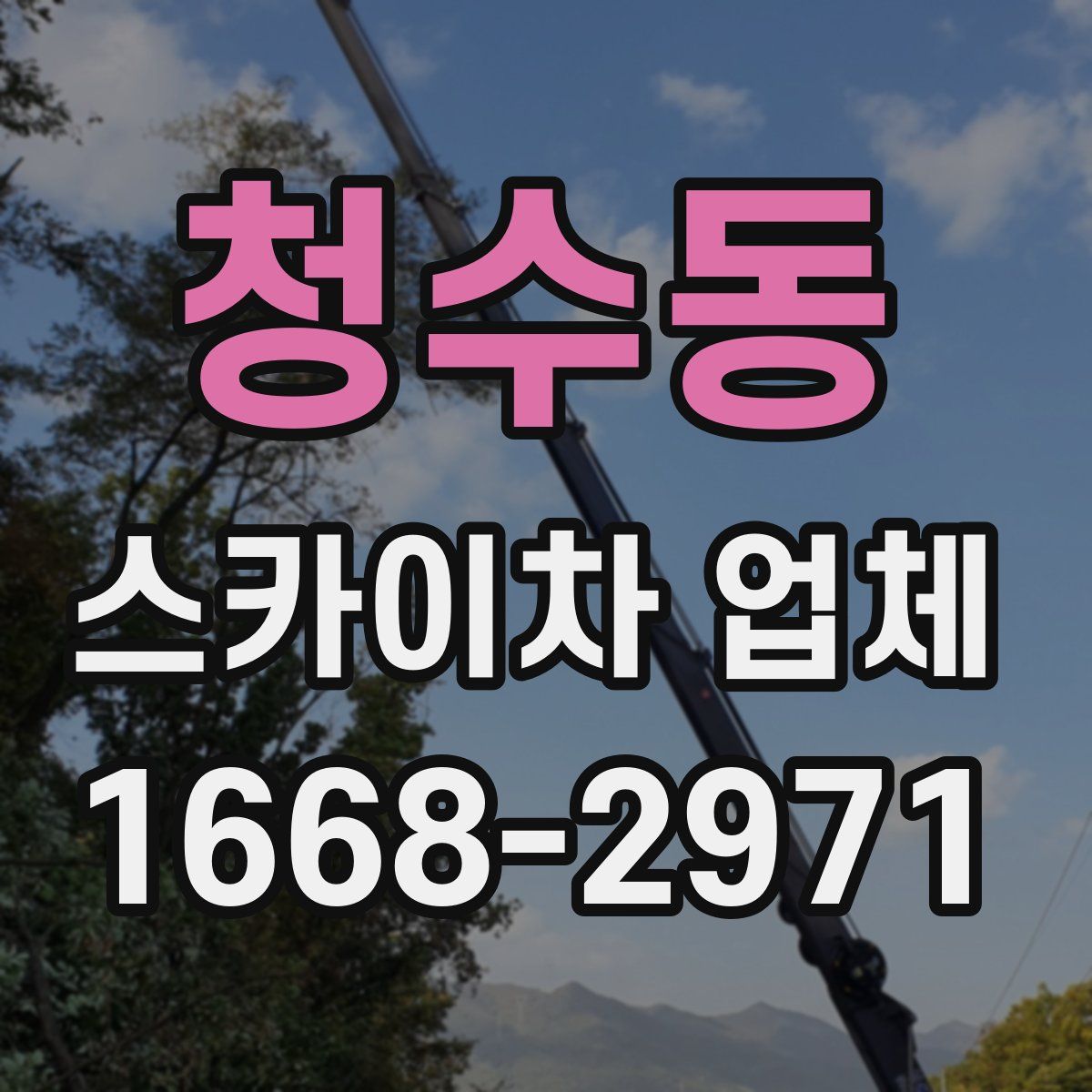 청수동 스카이차 업체