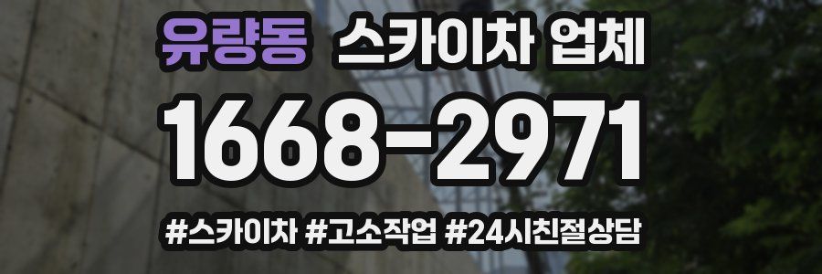 유량동 스카이차 업체