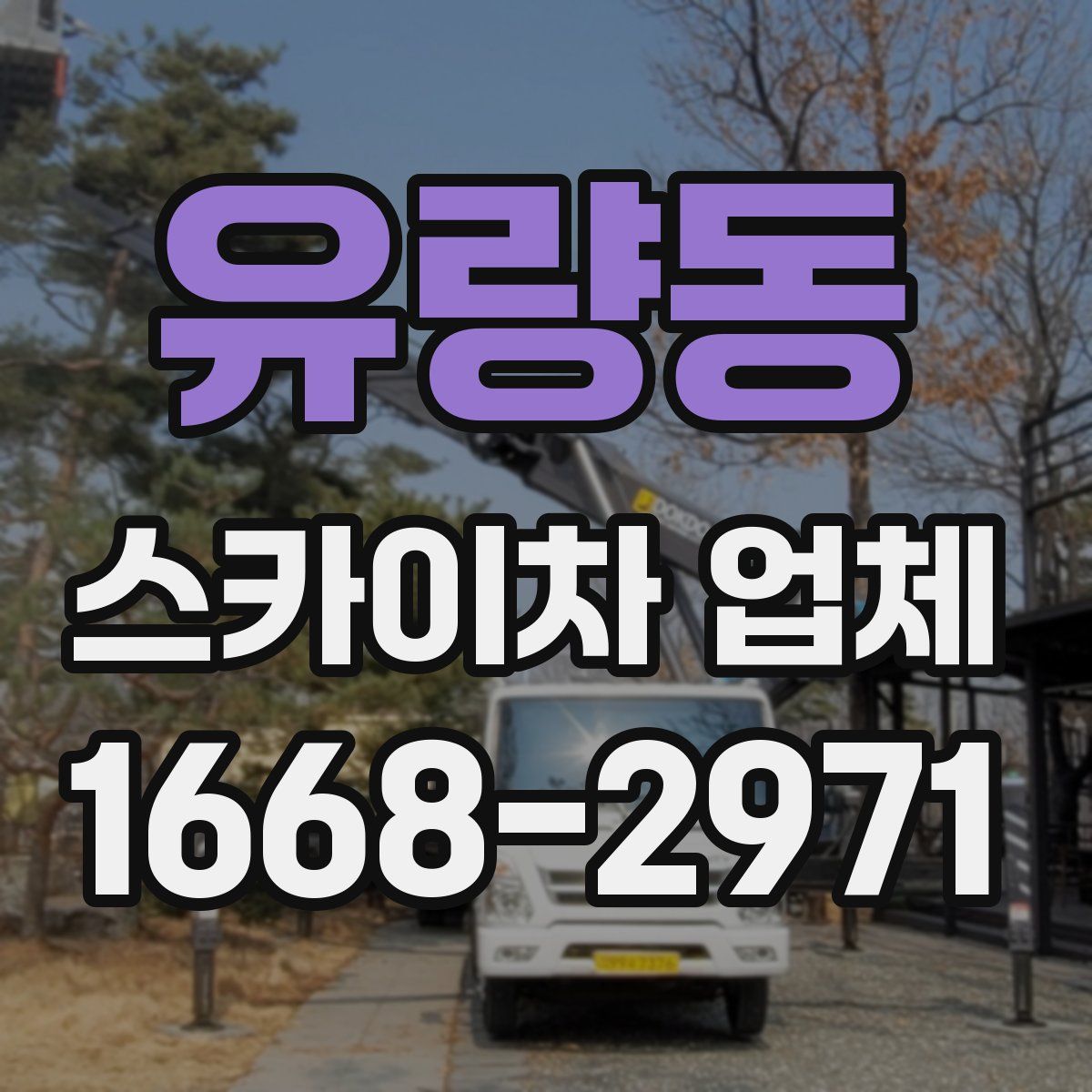 유량동 스카이차 업체