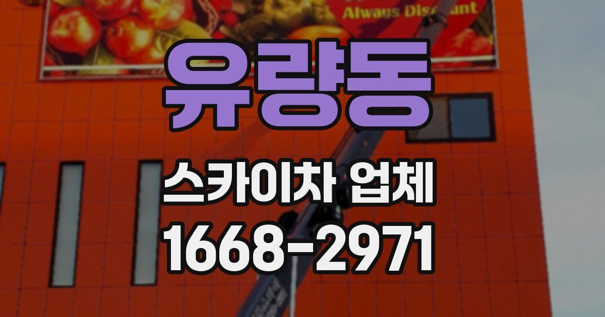 유량동 스카이차 업체