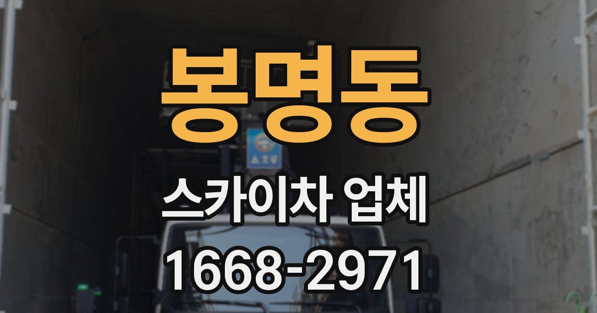 봉명동 스카이차 업체