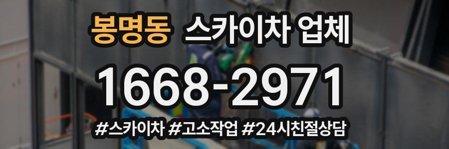 봉명동 스카이차 업체