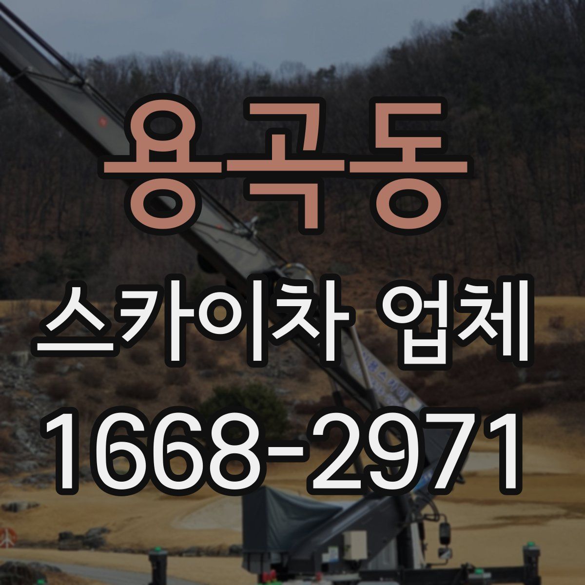 용곡동 스카이차 업체