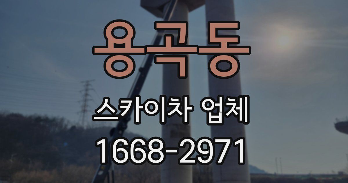 용곡동 스카이차 업체