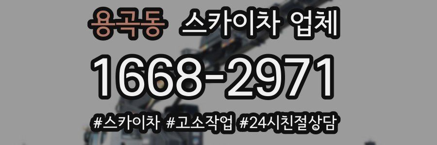 용곡동 스카이차 업체