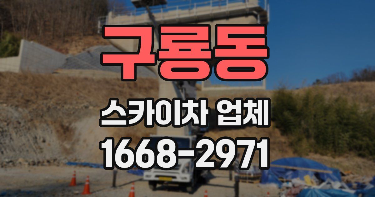 구룡동 스카이차 업체
