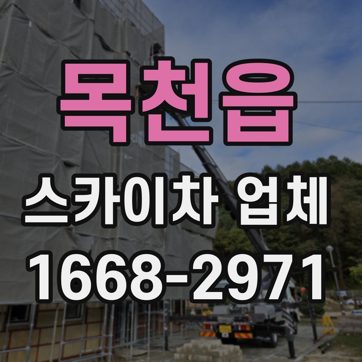 목천읍 스카이차 업체