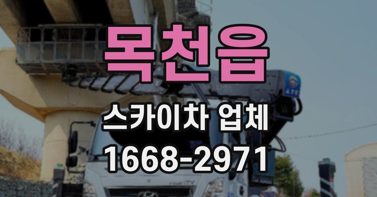 목천읍 스카이차 업체