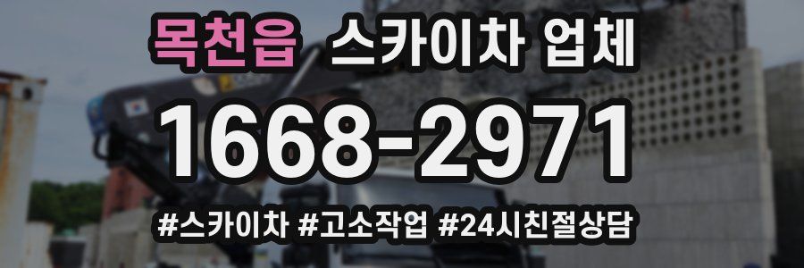 목천읍 스카이차 업체