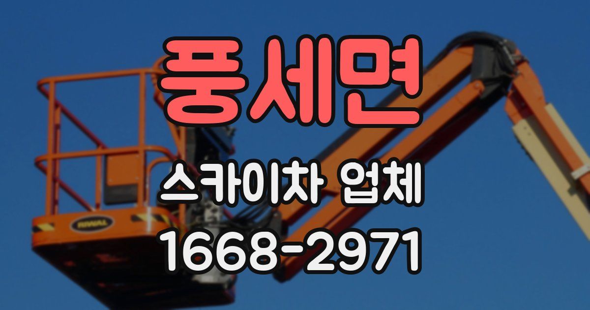 풍세면 스카이차 업체