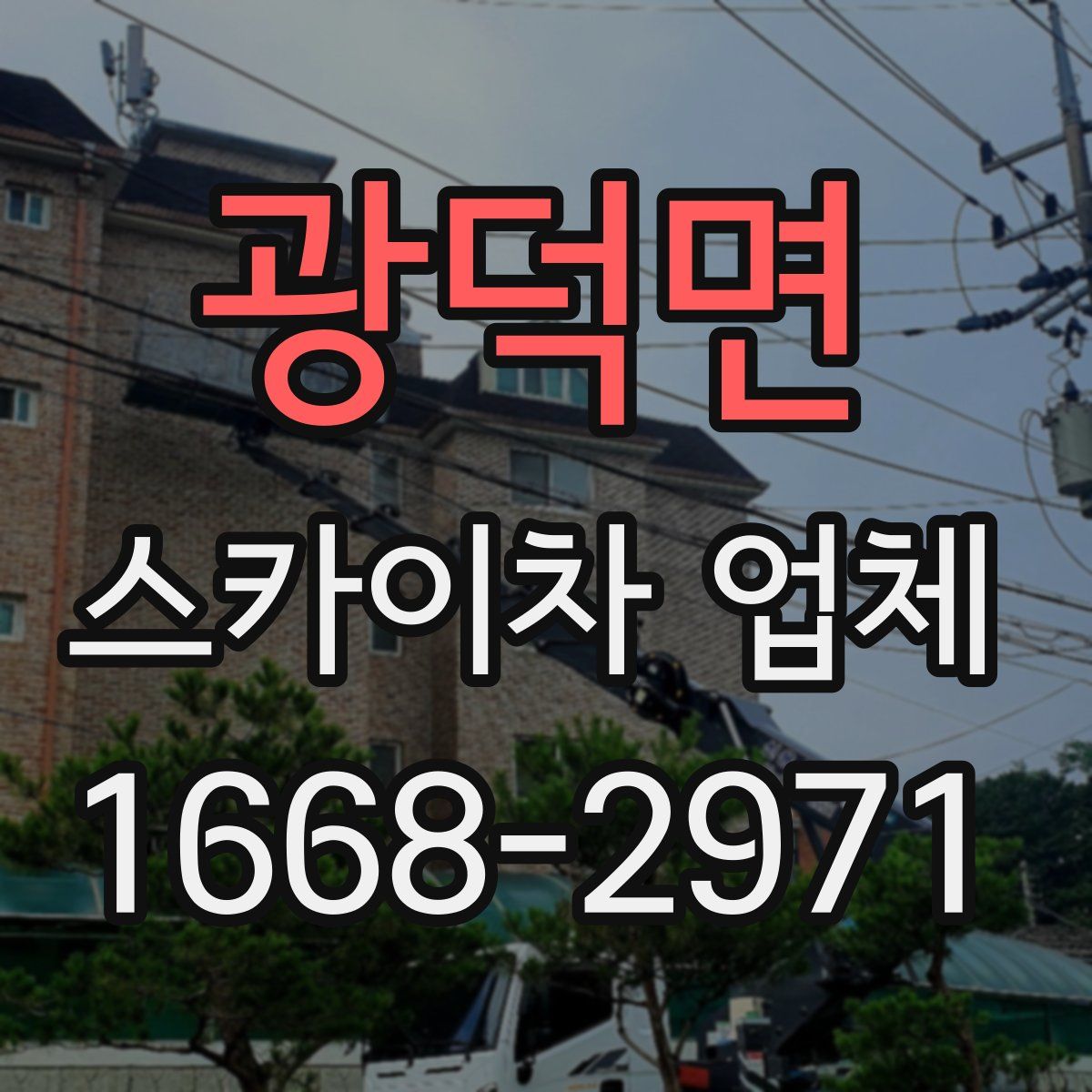 광덕면 스카이차 업체