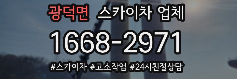 광덕면 스카이차 업체