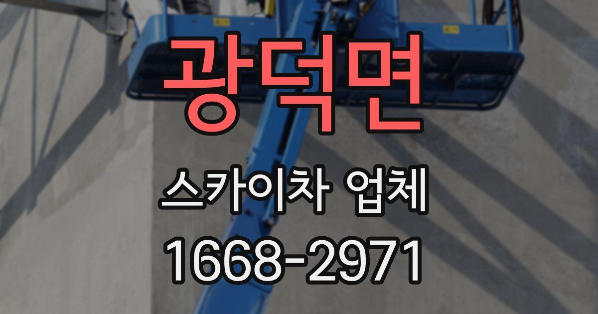 광덕면 스카이차 업체