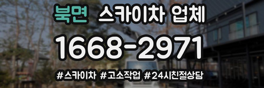 북면 스카이차 업체