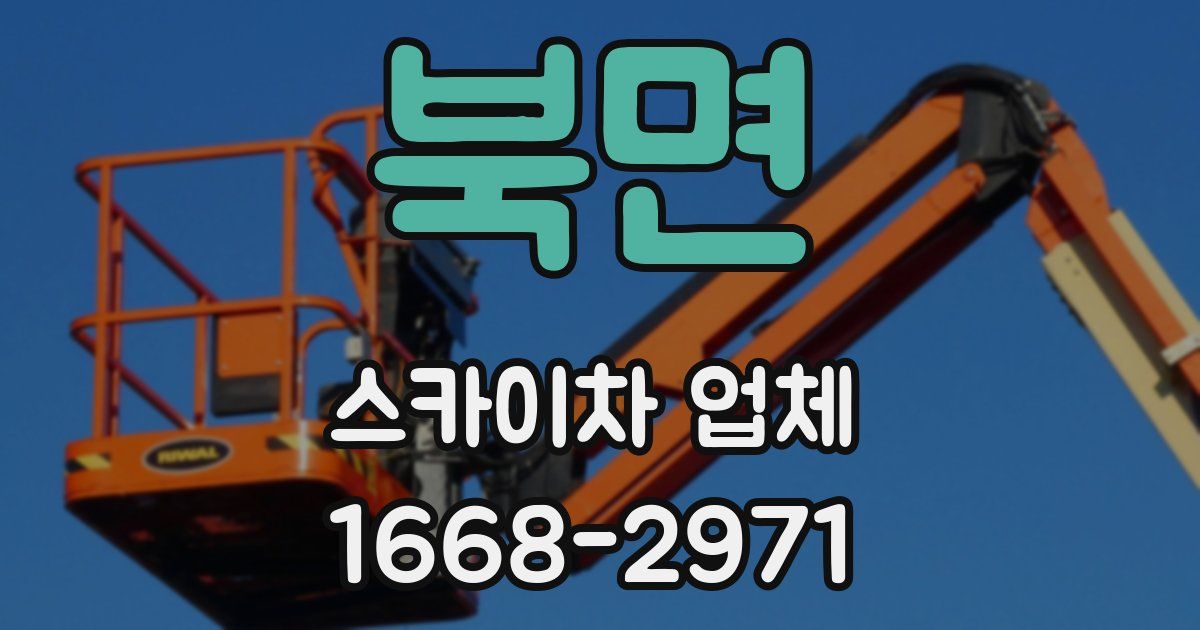 북면 스카이차 업체
