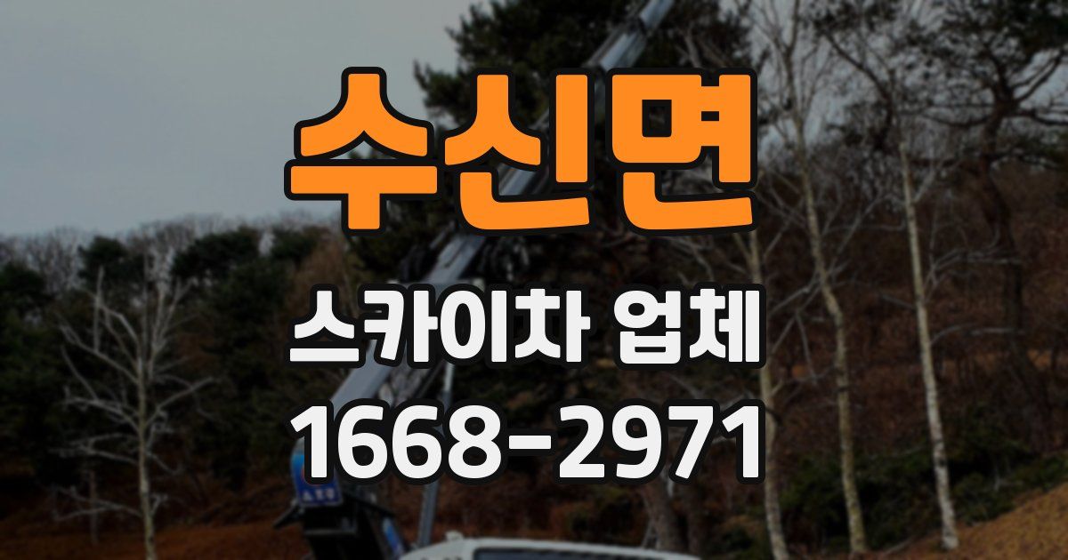 수신면 스카이차 업체