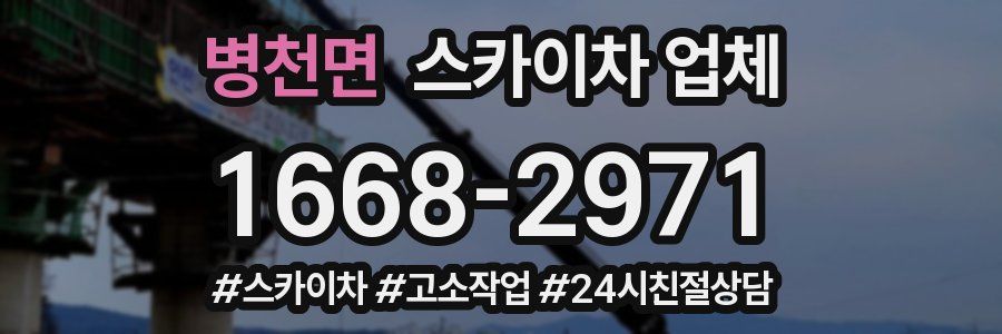 병천면 스카이차 업체