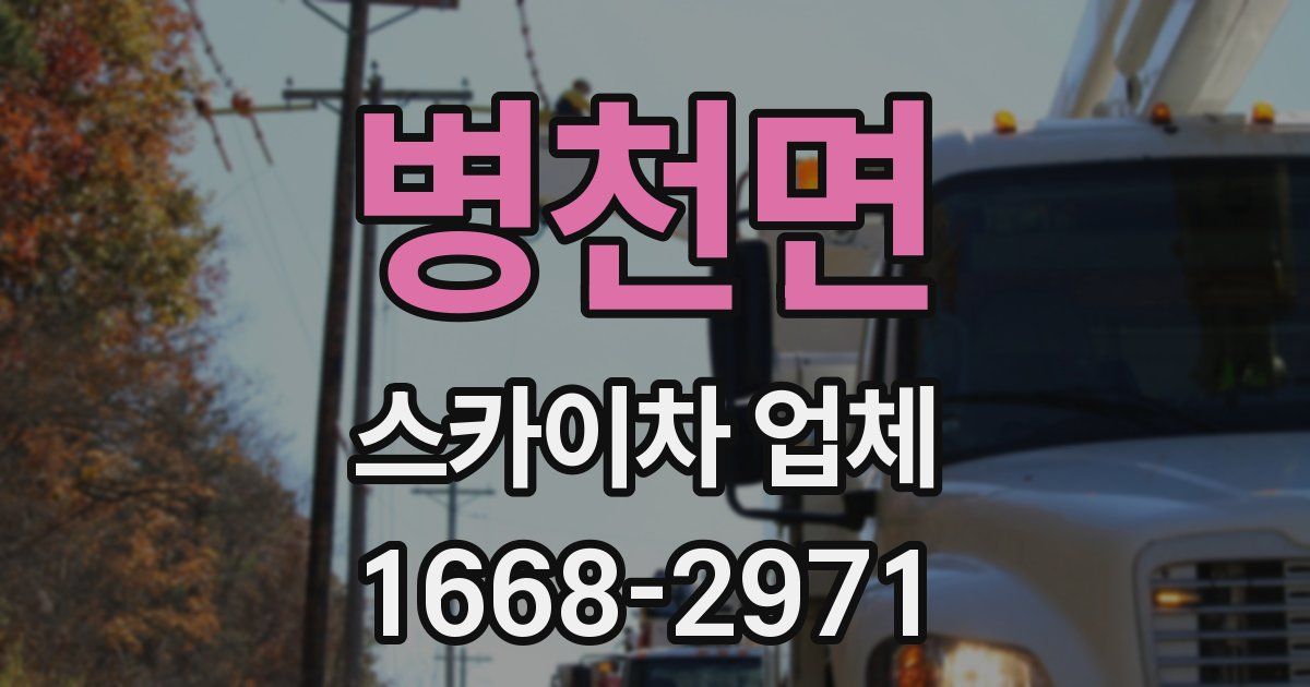 병천면 스카이차 업체