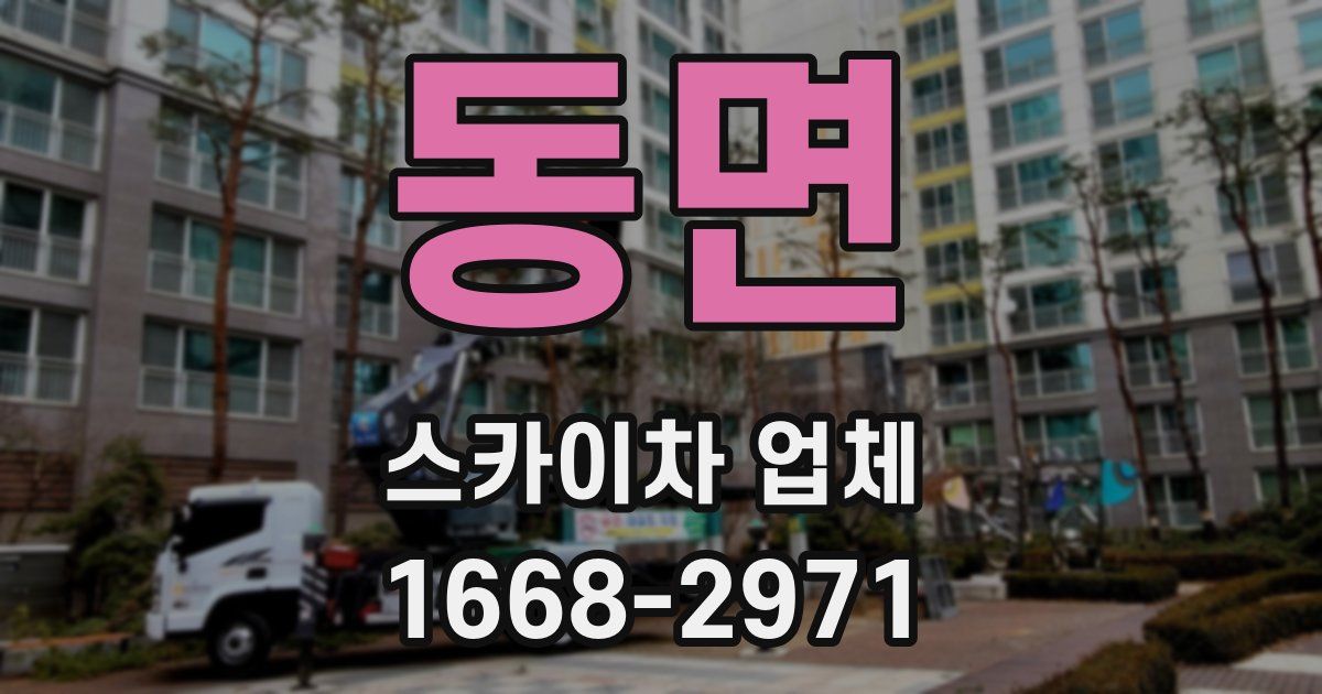 동면 스카이차 업체