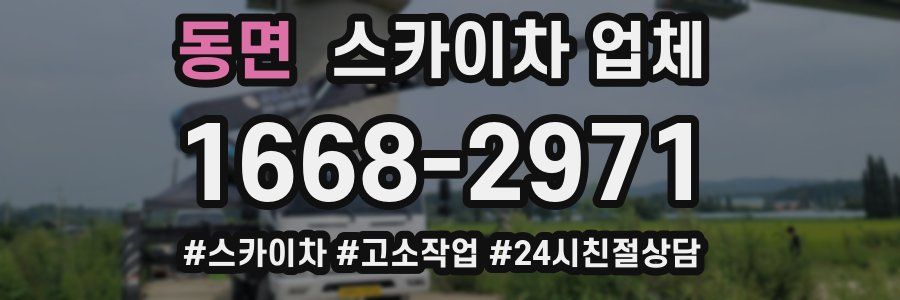 동면 스카이차 업체