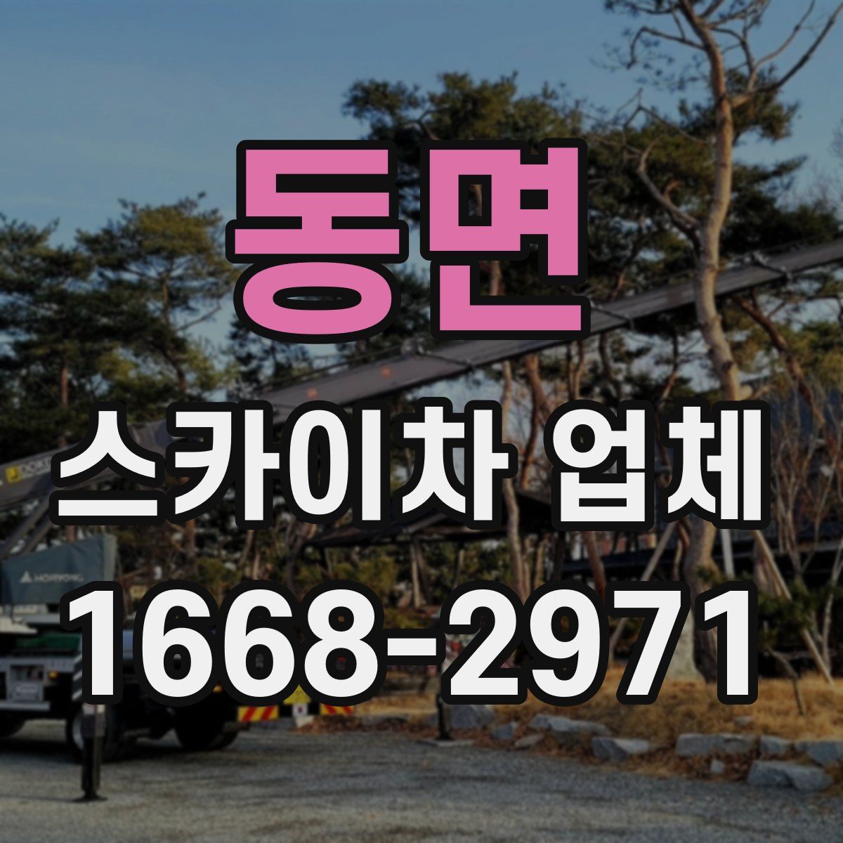 동면 스카이차 업체