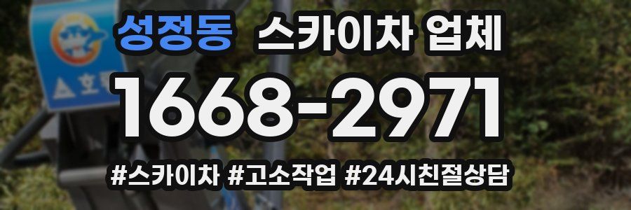 성정동 스카이차 업체