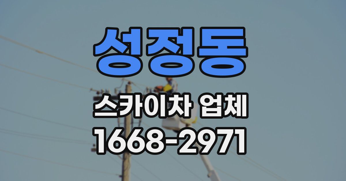 성정동 스카이차 업체