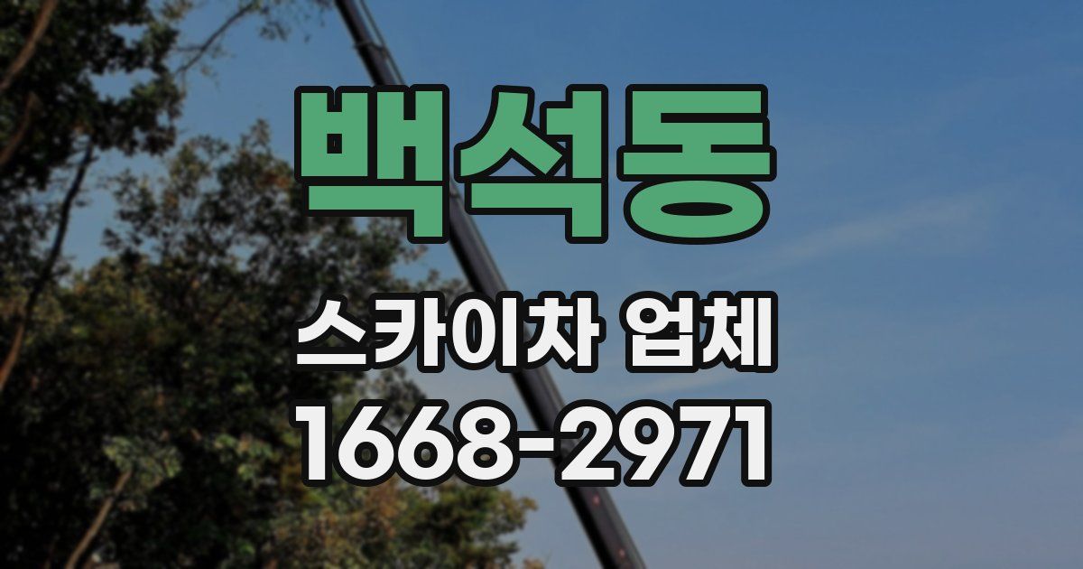 백석동 스카이차 업체