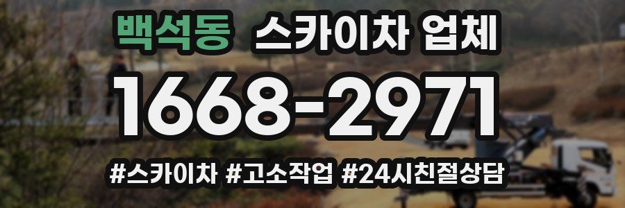 백석동 스카이차 업체