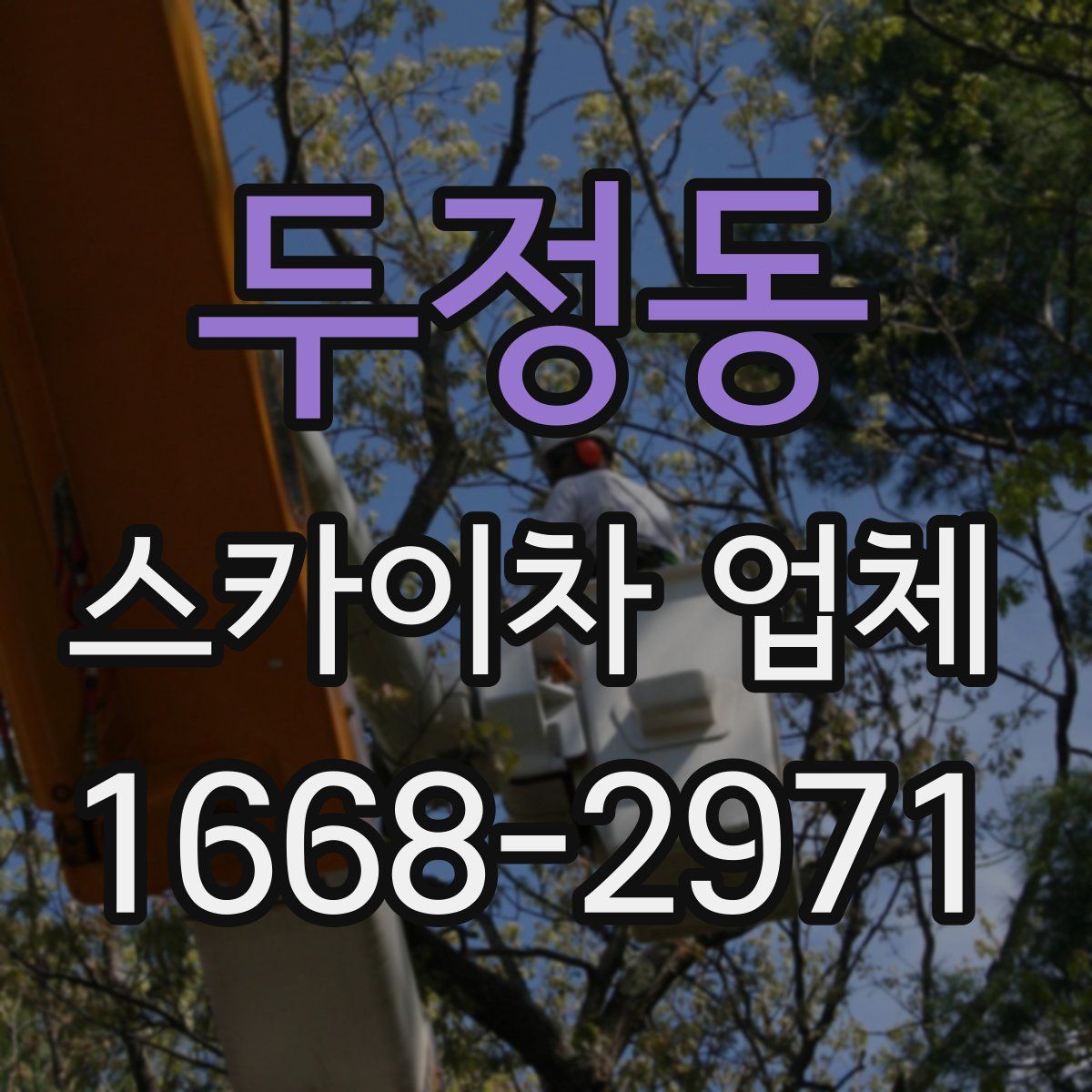 두정동 스카이차 업체