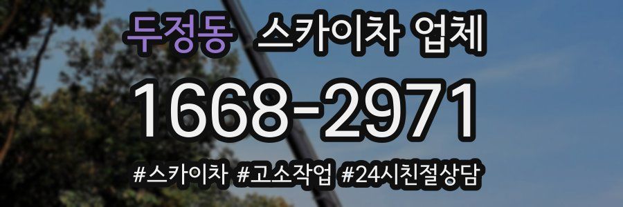 두정동 스카이차 업체