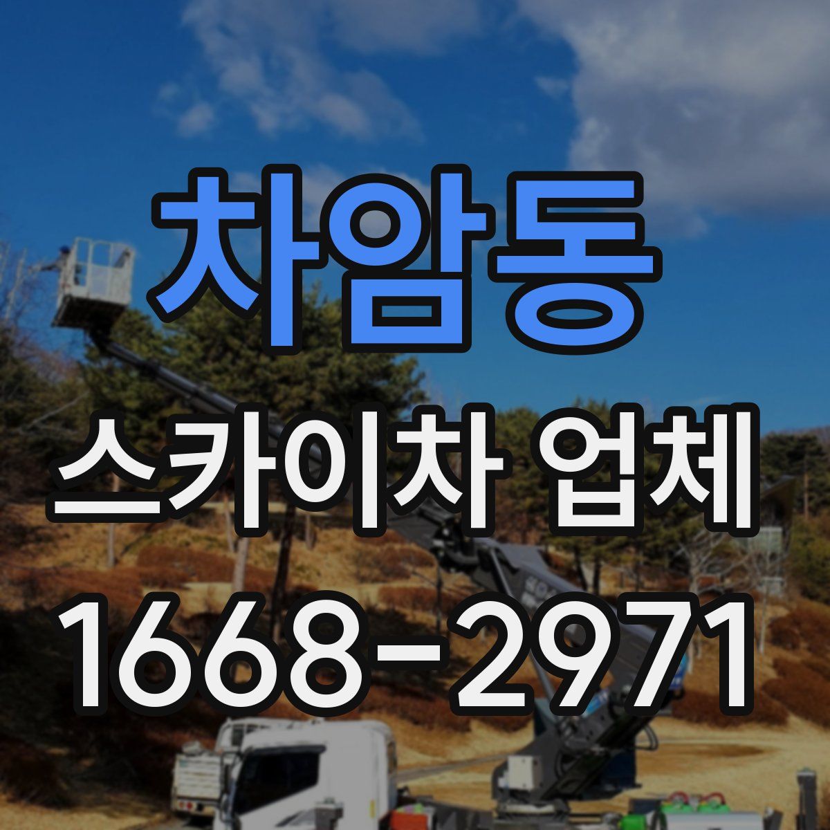 차암동 스카이차 업체