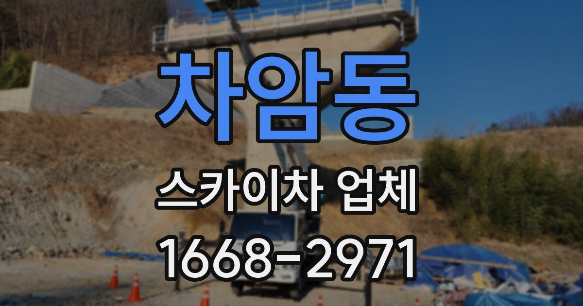 차암동 스카이차 업체
