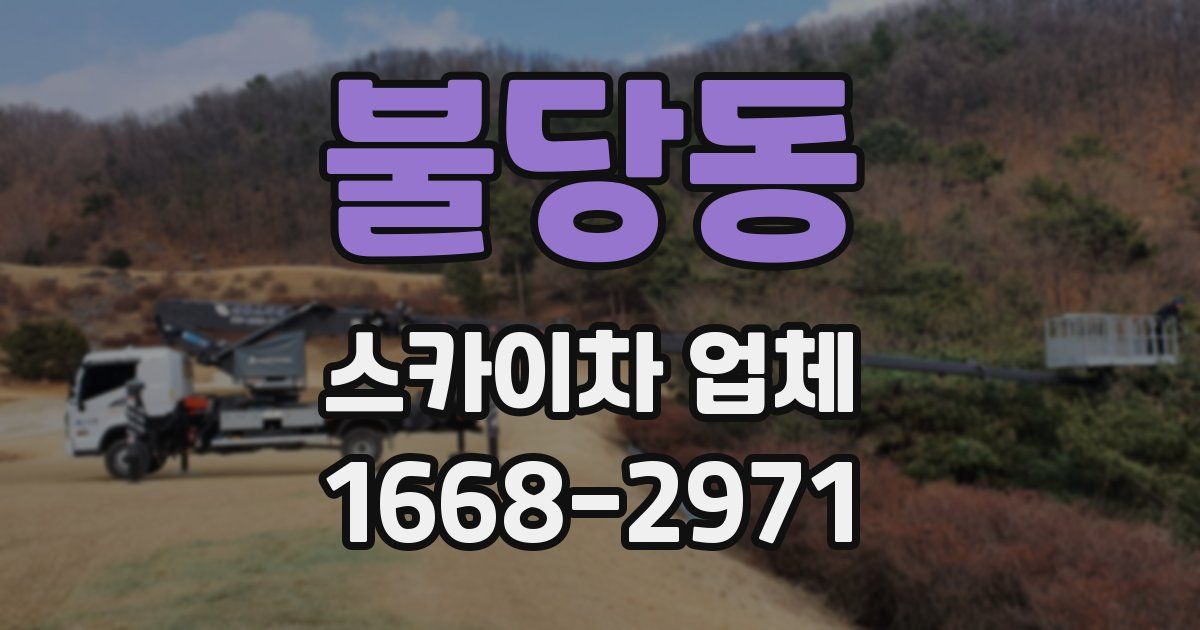 불당동 스카이차 업체