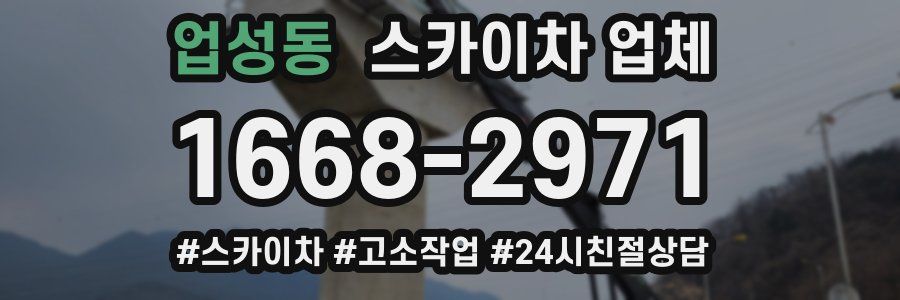 업성동 스카이차 업체