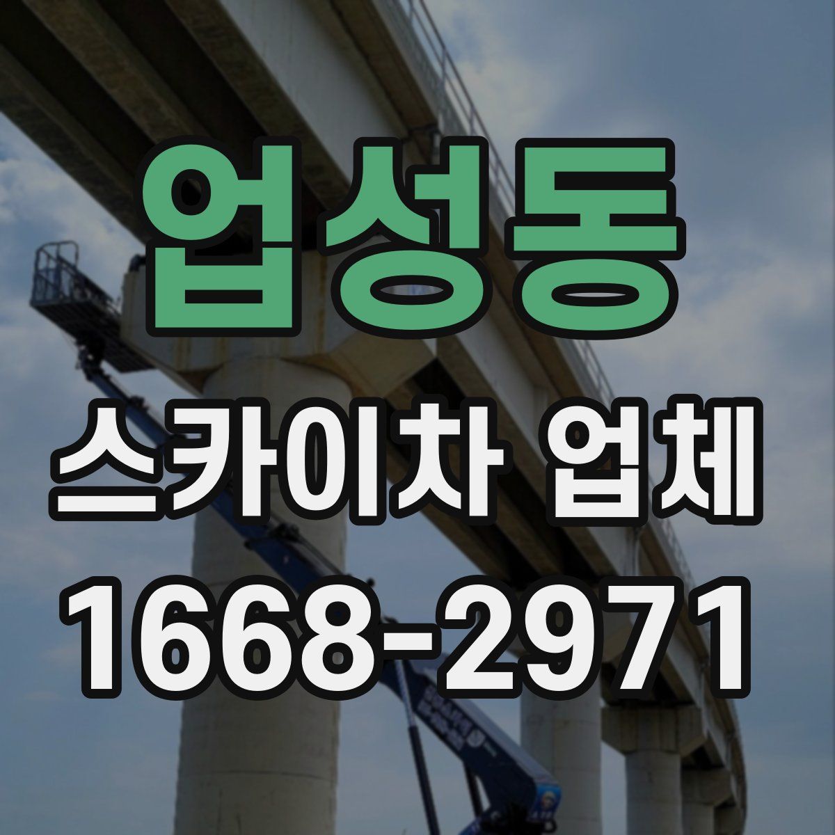 업성동 스카이차 업체