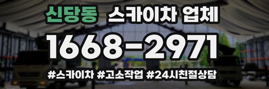 신당동 스카이차 업체