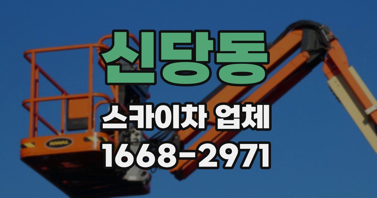 신당동 스카이차 업체