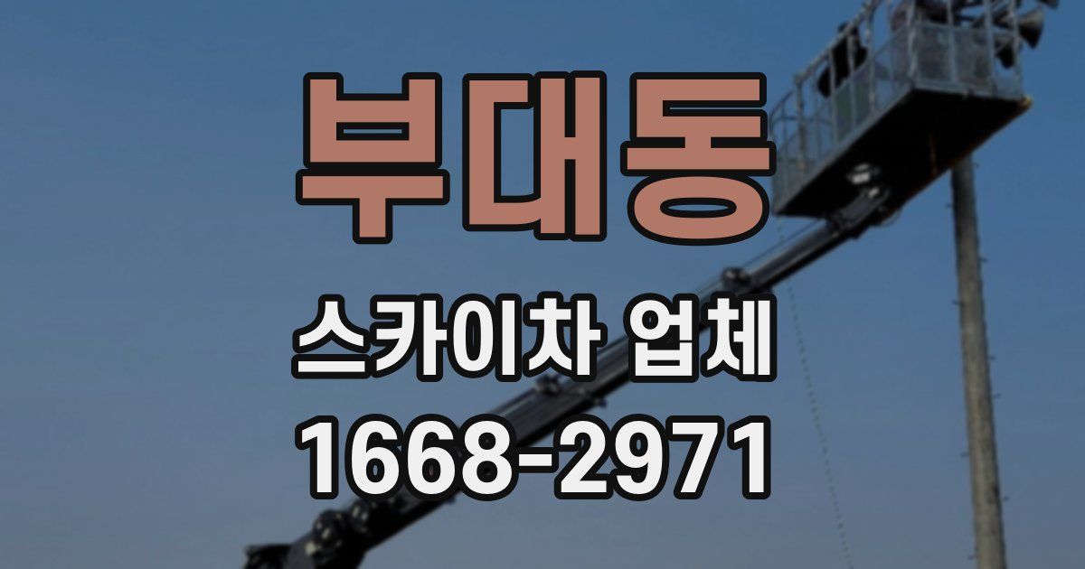 부대동 스카이차 업체