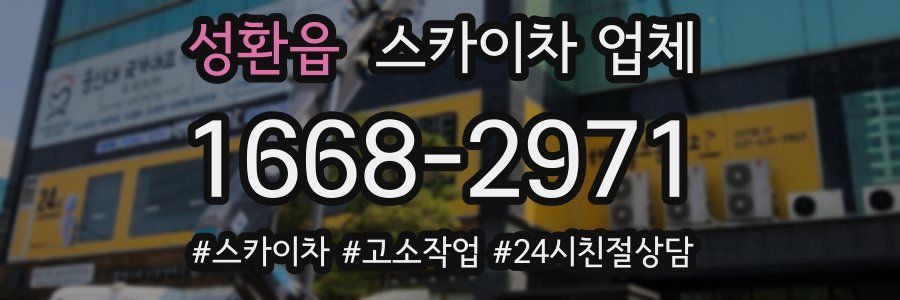 성환읍 스카이차 업체