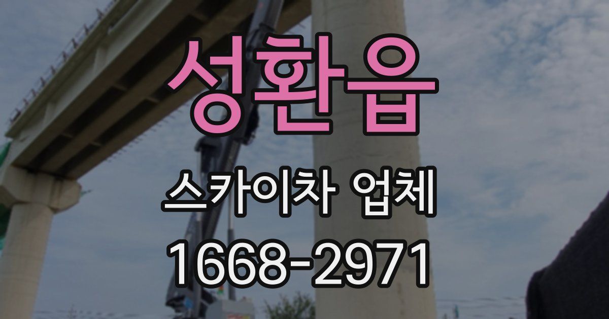 성환읍 스카이차 업체