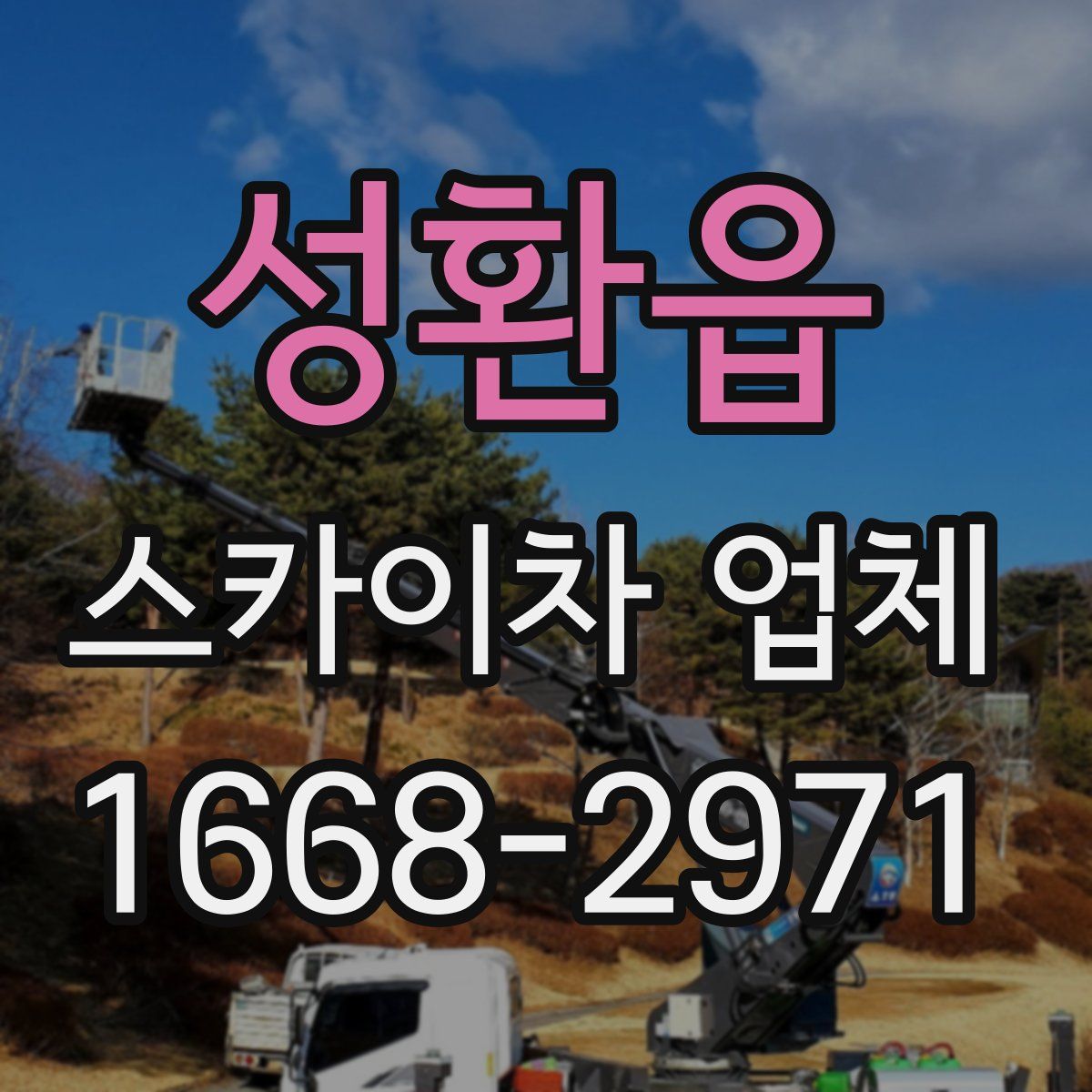성환읍 스카이차 업체