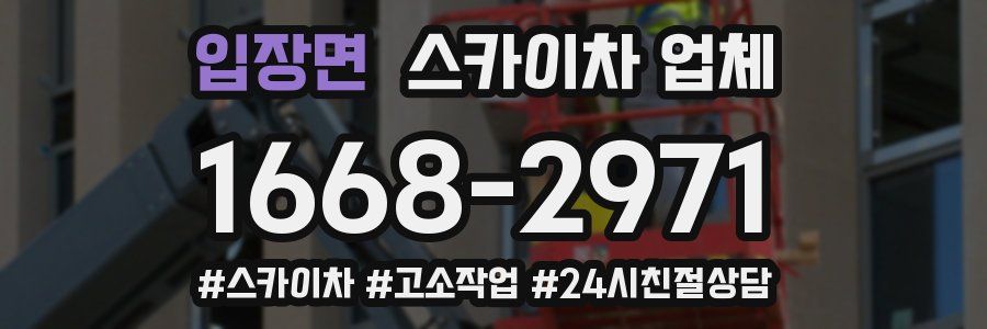 입장면 스카이차 업체