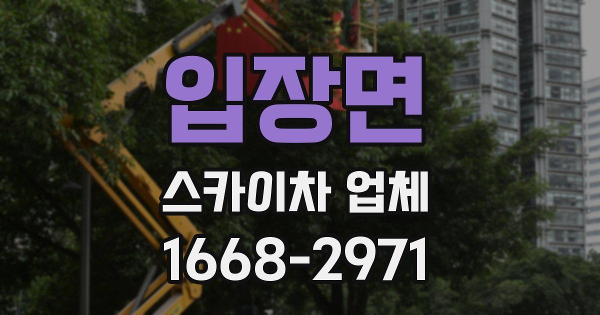 입장면 스카이차 업체